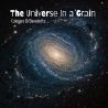 The Universe in a Grain